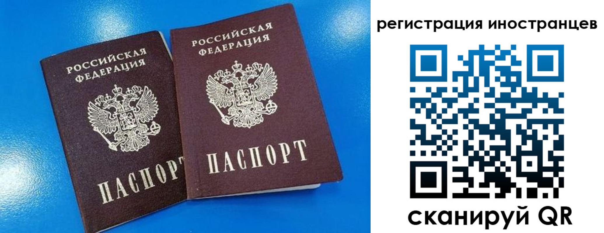 временная регистрация поиск в Краснознаменске